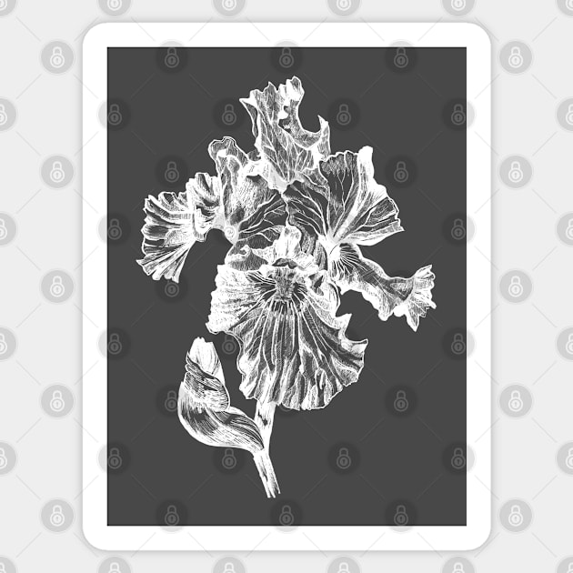 Ink - Iris Variation 2 Sticker by artofsuff